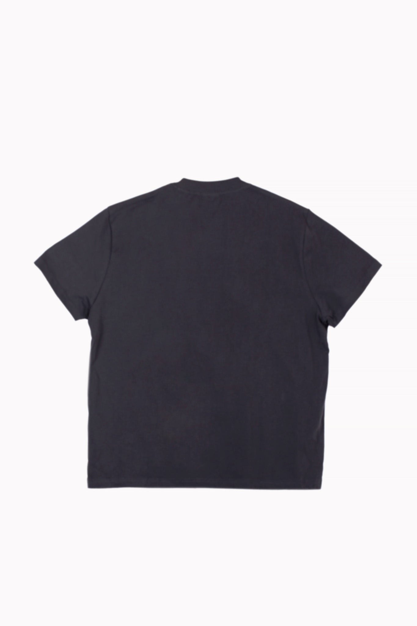 Grey Same Day Delivery Printed T-Shirt by Re Live