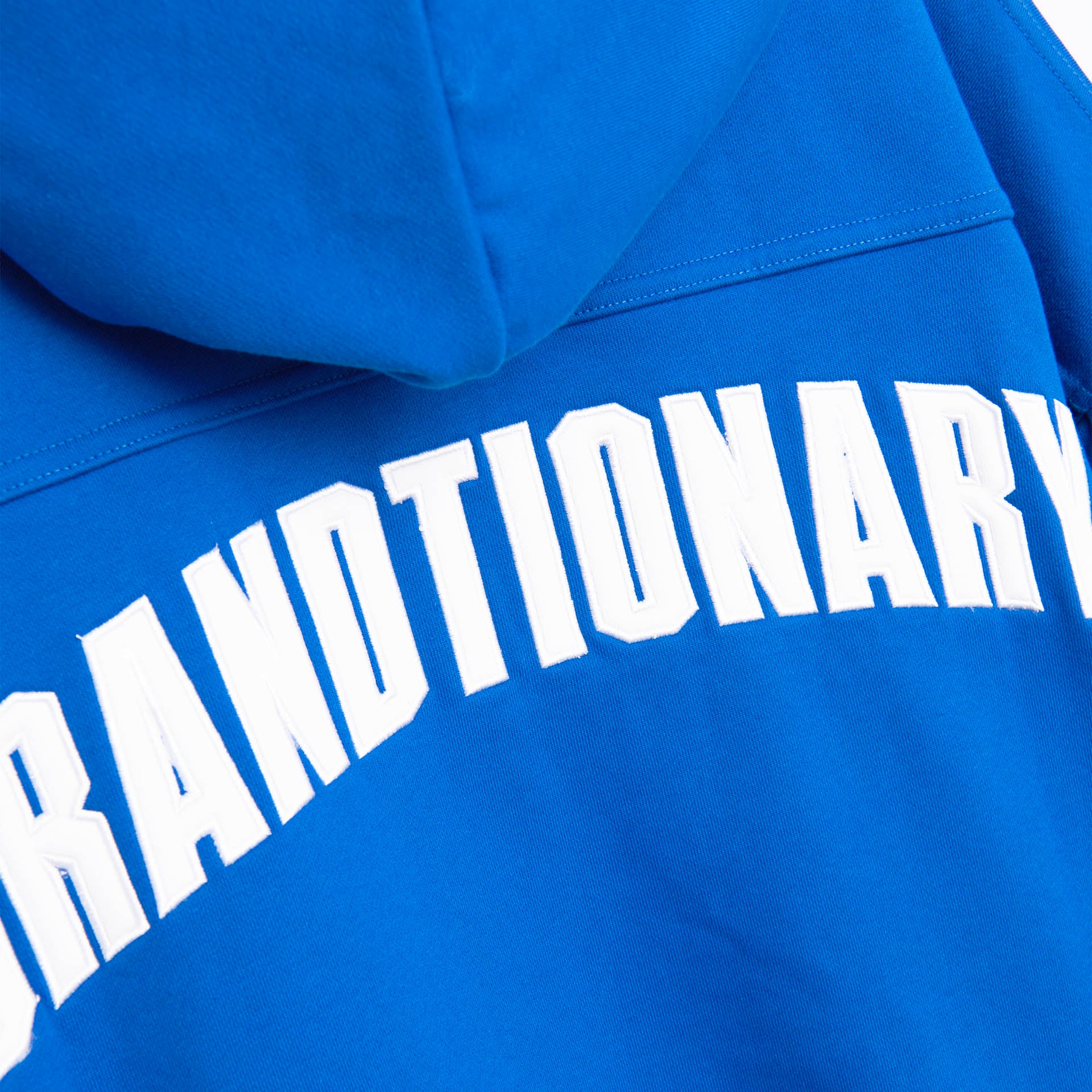 Royal Blue Classic Hoodie with 'Brandtionary' Typography on the Back by BrandTionary
