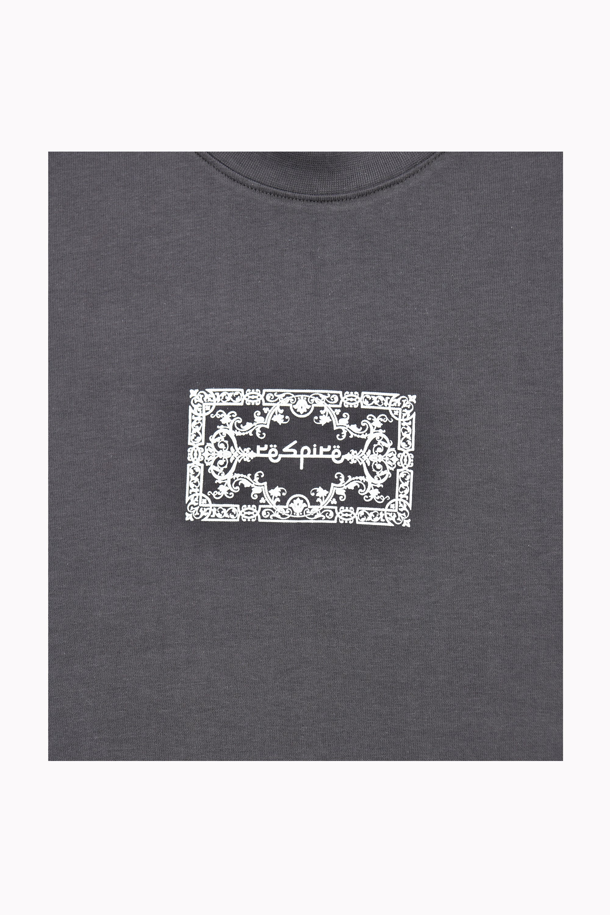 Men Grey "Despire" T-shirt by WECRE8