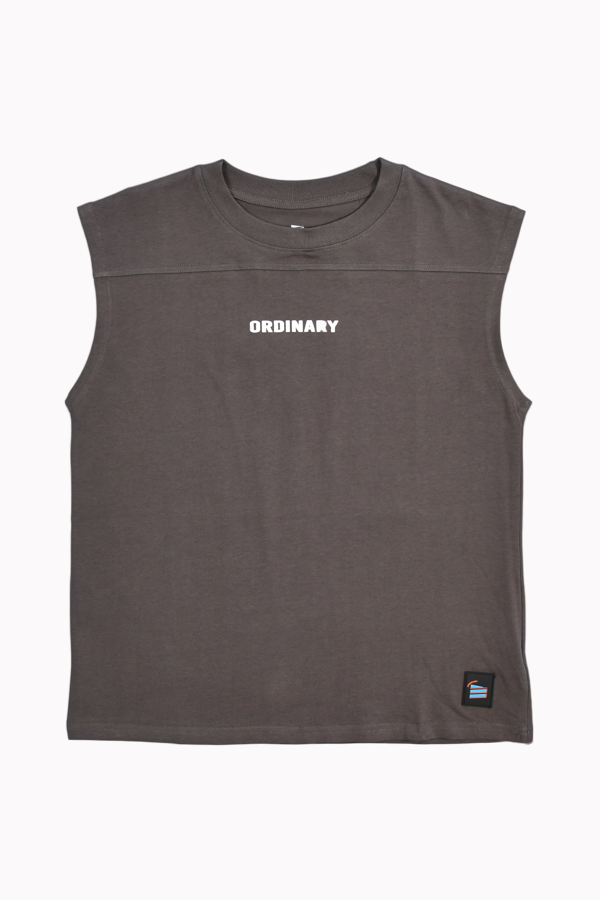 Grey Sleeveless Top by Ordinary Clothes