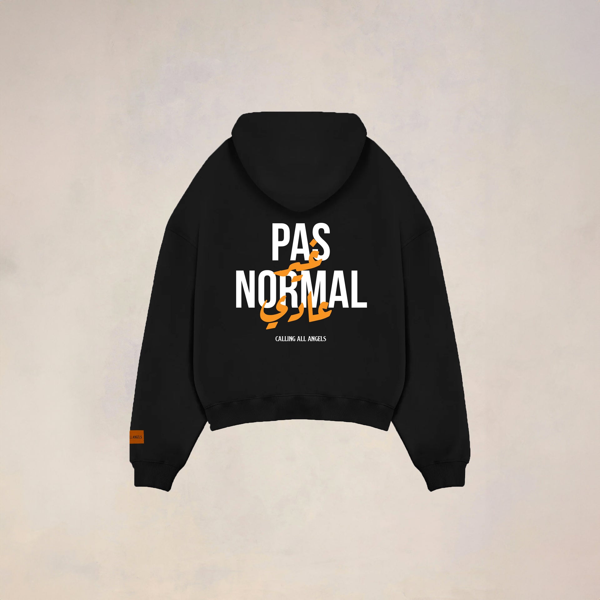 Unisex Black Pas Normal Hoodie By Calling All Angels