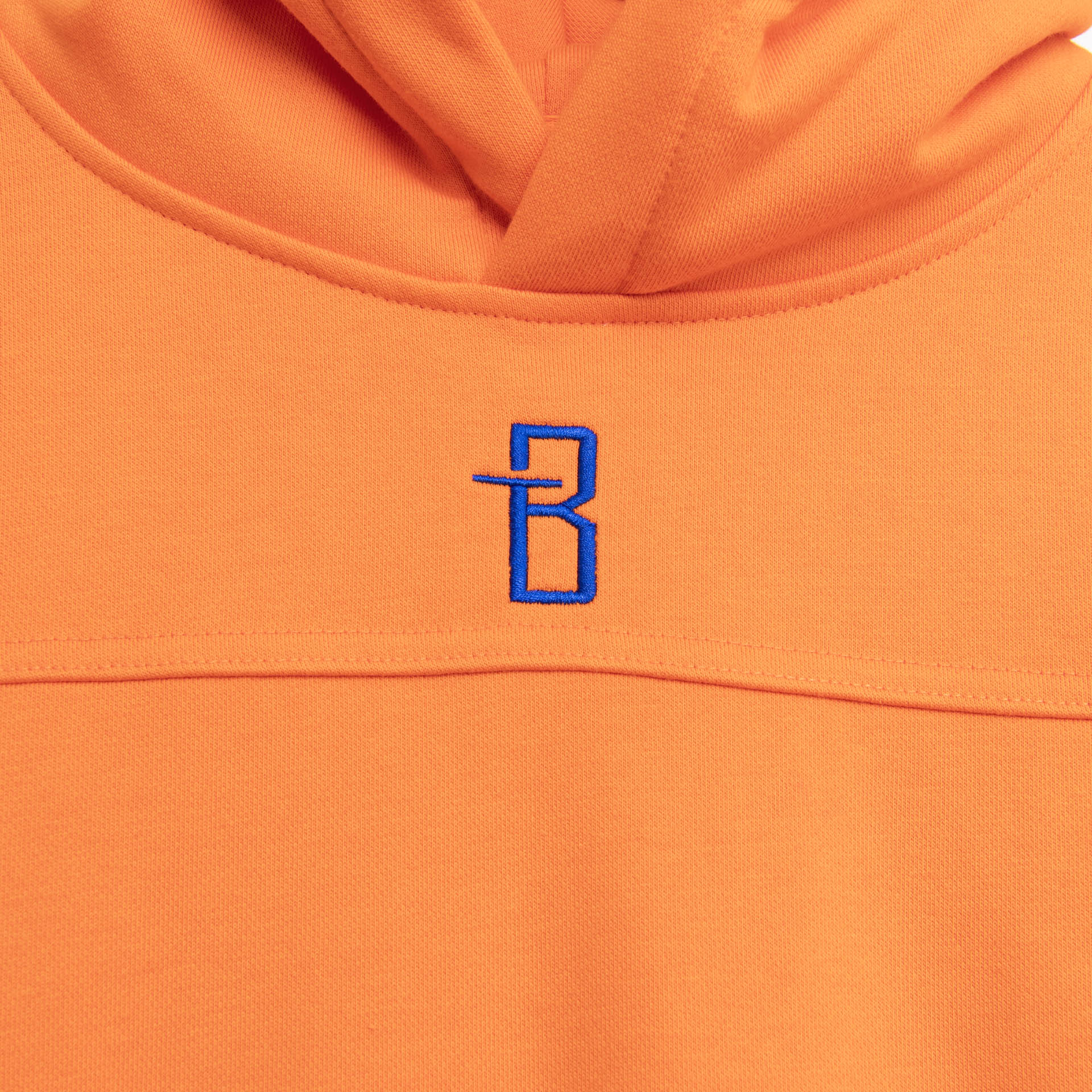 Orange Red classic Hoodie with 'Brandtionary' Typography on the Back by Brandtionary