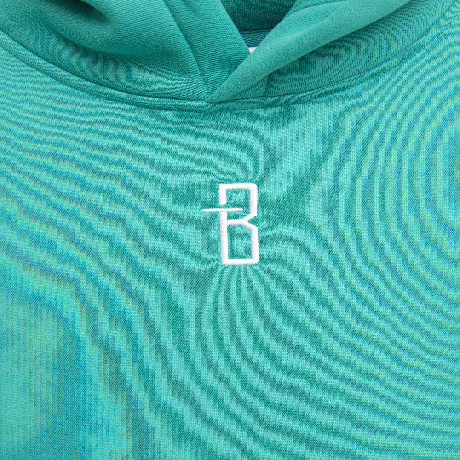 Light Sea Green Hoodie with Sign Language Print by Brandtionary