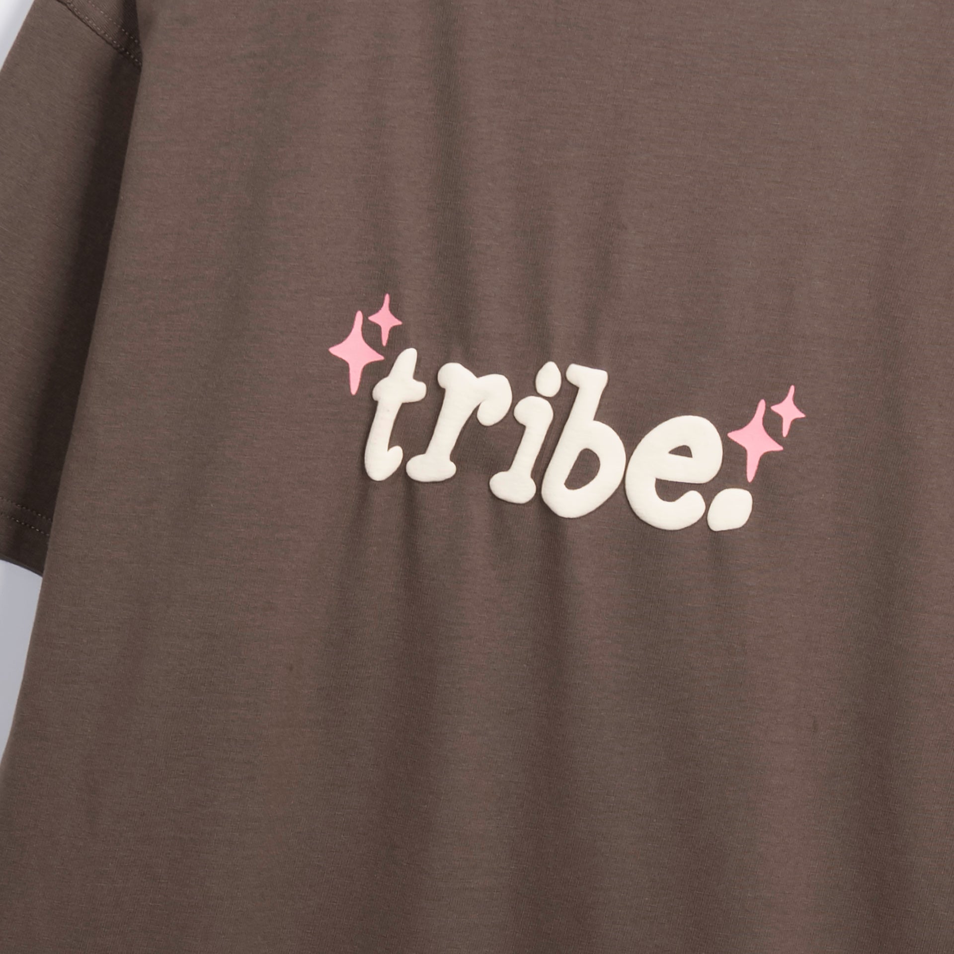 Brown T-shirt With A Print From Tribe